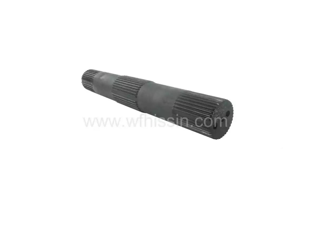 Lifting shaft